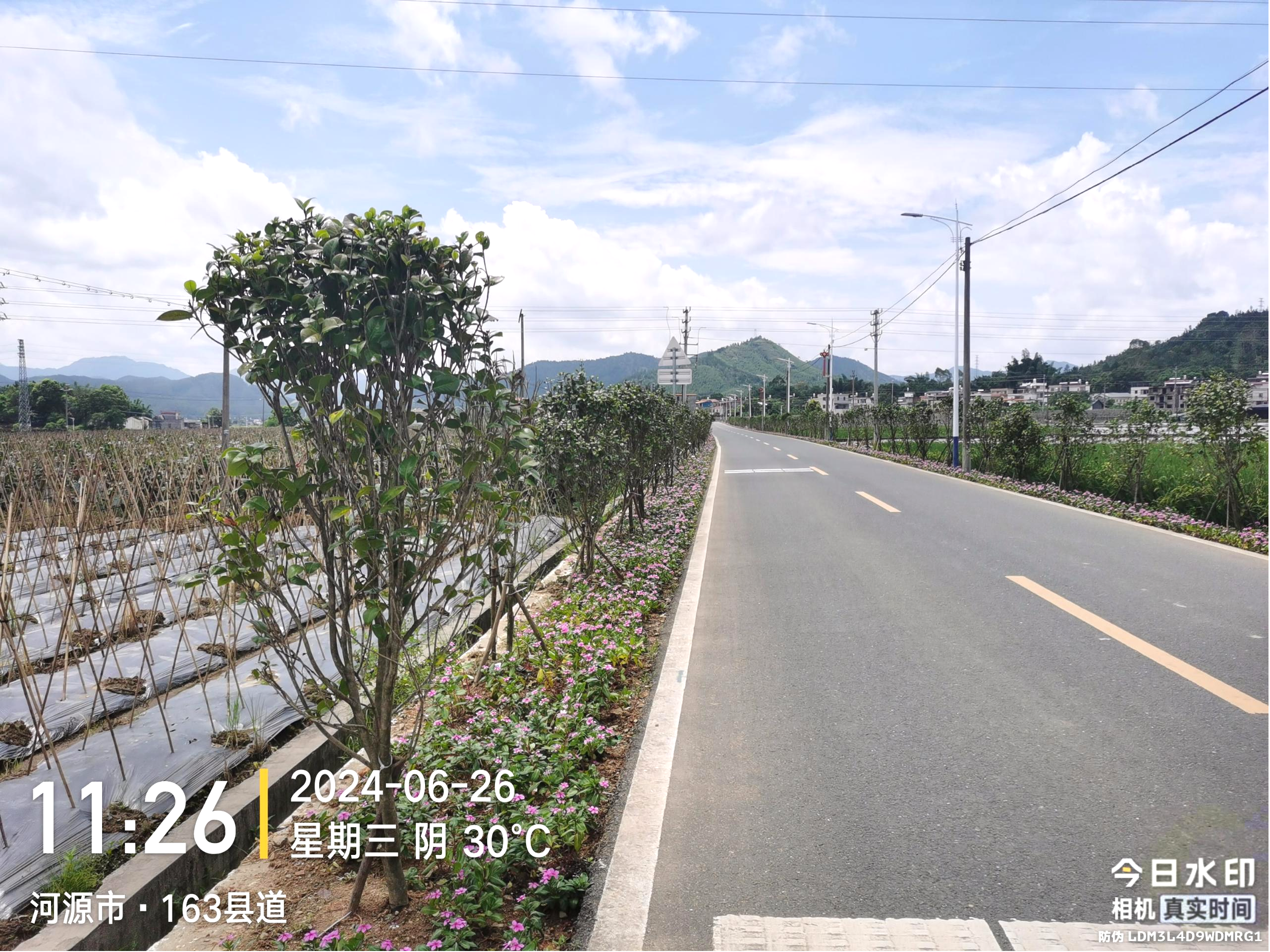 东源县省道S341.png